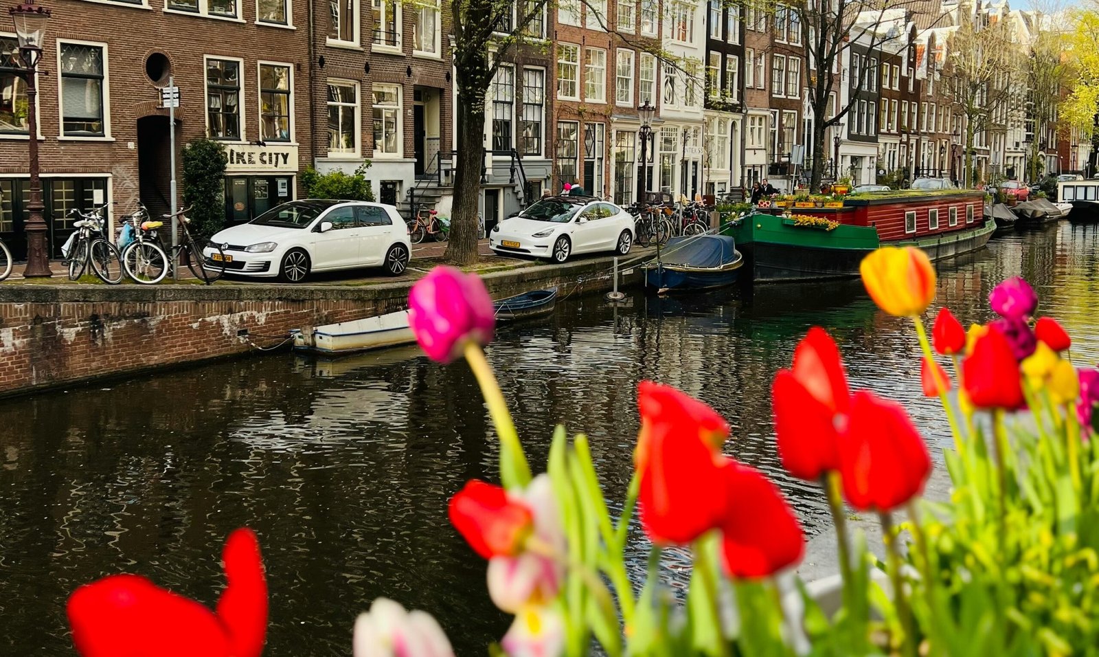 Tulpen uit Amsterdam (maar dus eigenlijk niet)