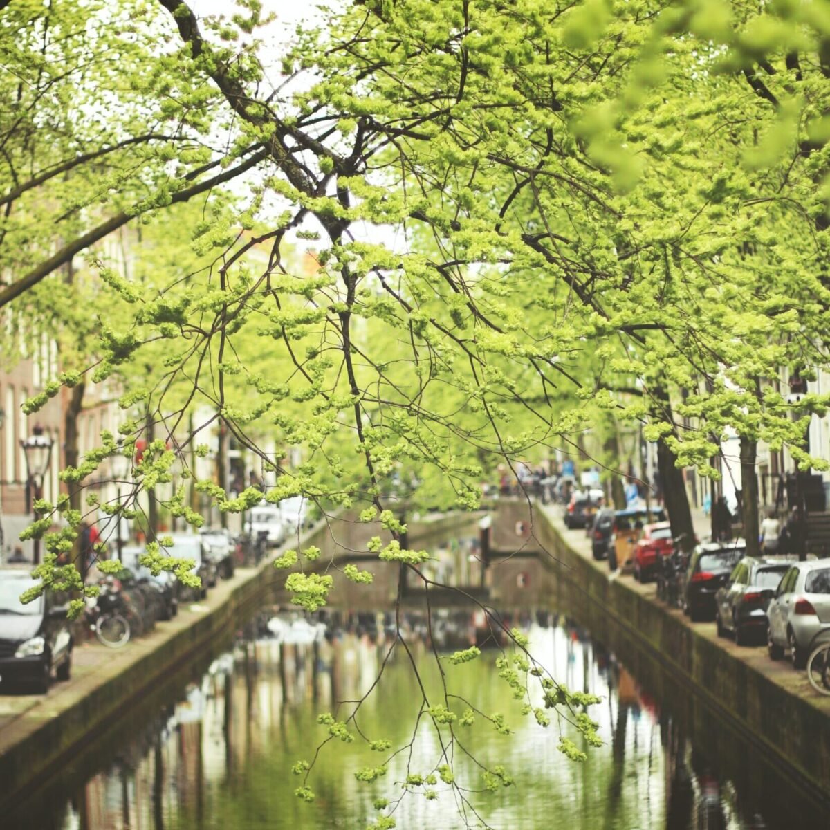 Floor Wibaut: de straat, de socialist en het riool - feitjes.amsterdam