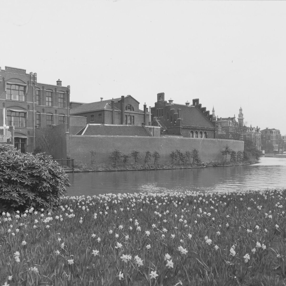 Floor Wibaut: de straat, de socialist en het riool - feitjes.amsterdam